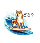 ドット絵 サーファー 柴犬 40種 サーフィン（個別スタンプ：36）