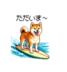 ドット絵 サーファー 柴犬 40種 サーフィン（個別スタンプ：38）