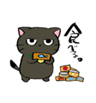 凸凹ねこ兄弟（個別スタンプ：22）