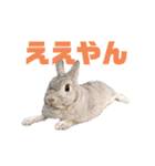 まる is...（個別スタンプ：11）