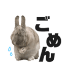 まる is...（個別スタンプ：15）