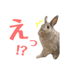 まる is...（個別スタンプ：18）