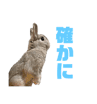 まる is...（個別スタンプ：21）
