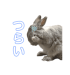 まる is...（個別スタンプ：22）