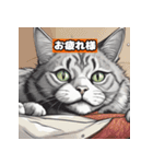 猫と挨拶 日常会話編（個別スタンプ：5）