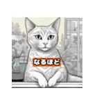 猫と挨拶 日常会話編（個別スタンプ：11）