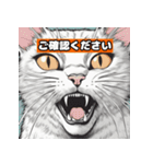 猫と挨拶 日常会話編（個別スタンプ：12）