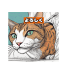 猫と挨拶 日常会話編（個別スタンプ：35）