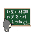 豆柴『まめ』の気持ち（個別スタンプ：13）