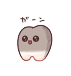歯  〜teeth〜（個別スタンプ：39）