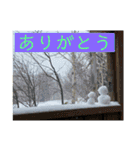 北海道の大好きな景色②（個別スタンプ：1）