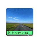 北海道の大好きな景色②（個別スタンプ：4）