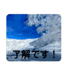 北海道の大好きな景色②（個別スタンプ：13）