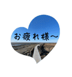 北海道の大好きな景色②（個別スタンプ：15）