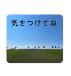 北海道の大好きな景色②（個別スタンプ：20）