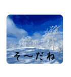 北海道の大好きな景色②（個別スタンプ：29）