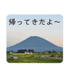 北海道の大好きな景色②（個別スタンプ：39）