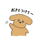 うわさのトイプードル 2（個別スタンプ：2）