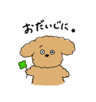 うわさのトイプードル 2（個別スタンプ：6）