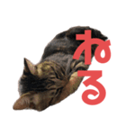 毎日がニナ（個別スタンプ：2）