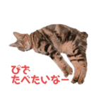 毎日がニナ（個別スタンプ：7）