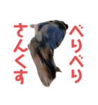 毎日がニナ（個別スタンプ：8）