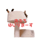 毎日がニナ（個別スタンプ：9）