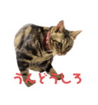毎日がニナ（個別スタンプ：23）
