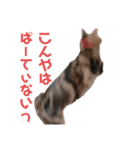 毎日がニナ（個別スタンプ：28）