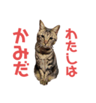 毎日がニナ（個別スタンプ：30）