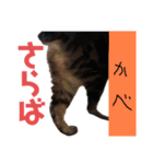 毎日がニナ（個別スタンプ：32）