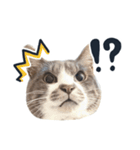 やんごとなきマロのスタンプ【修正版】（個別スタンプ：1）