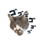 やんごとなきマロのスタンプ【修正版】（個別スタンプ：6）
