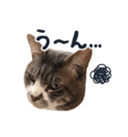 やんごとなきマロのスタンプ【修正版】（個別スタンプ：20）