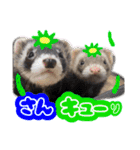 ふぇれももん村／ふぇれず動物に変身（個別スタンプ：2）