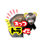 ふぇれももん村／ふぇれず動物に変身（個別スタンプ：8）