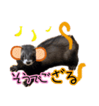 ふぇれももん村／ふぇれず動物に変身（個別スタンプ：19）