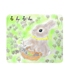 ぼくはうさぎ6 Little Koro イラストと実写（個別スタンプ：4）