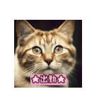 三毛猫の号令（個別スタンプ：5）