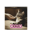 三毛猫の号令（個別スタンプ：6）