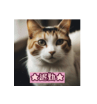 三毛猫の号令（個別スタンプ：7）