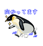 日常使いのロイヤルペンギンのスタンプ（個別スタンプ：1）