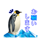 日常使いのロイヤルペンギンのスタンプ（個別スタンプ：13）