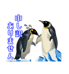 日常使いのロイヤルペンギンのスタンプ（個別スタンプ：17）