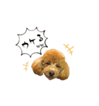 THE裏MONSTER_30（個別スタンプ：16）