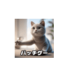 昭和死語な猫たち（個別スタンプ：14）