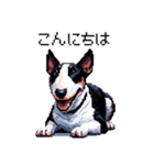 ドット絵 ミニチュアブルテリア 白黒 40種（個別スタンプ：24）