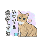 能登半島大地震応援LINEスタンプ（個別スタンプ：20）