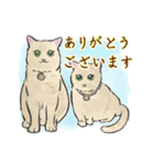 能登半島大地震応援LINEスタンプ（個別スタンプ：22）