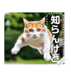 ジャンプする猫（リアル風）関西弁（個別スタンプ：4）